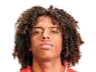 https://img.szhnr.com/img/football/player/135ad8787fd13961a93e165e79e736ff.png