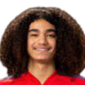 https://img.szhnr.com/img/football/player/87359ed9061cfd73513d827263deebcd.png