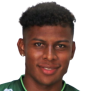 https://img.szhnr.com/img/football/player/a5eb88daca2b0dc1a5c6d3e0c233d0c8.png