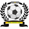 https://img.szhnr.com/img/football/team/6dc6d59af2f0962597b412473a6708ee.png