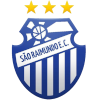 https://img.szhnr.com/img/football/team/91cbaa5a5aeed6abf4caac371ffe4e3c.png