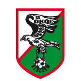 https://img.szhnr.com/img/football/team/e6a8908dd206e2ea02d9803c82c60bba.png