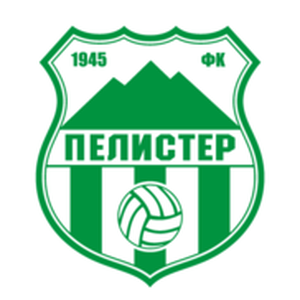 https://img.szhnr.com/img/football/team/e8fd16a4ffed34f582ba56be5d8ca271.png